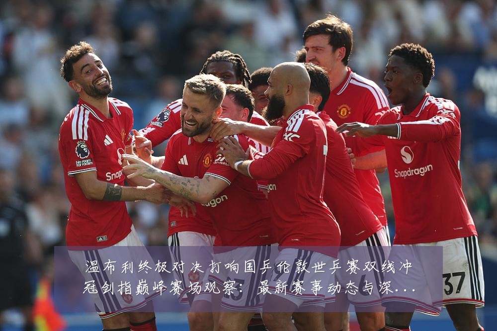 温布利终极对决打响国乒伦敦世乒赛双线冲冠剑指巅峰赛场观察：最新赛事动态与深度分析